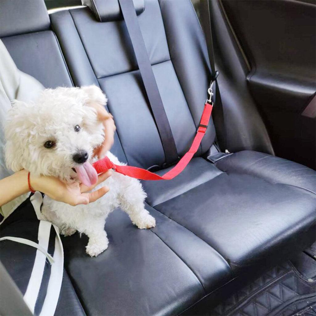 chien Laisse de sécurité Ceinture de siège de voiture pour animaux de  compagnie