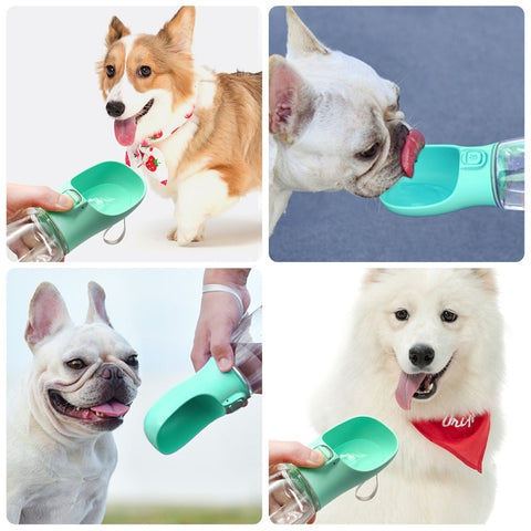 Bouteille d'eau portable pour chien avec bol - Les Canins Branchés