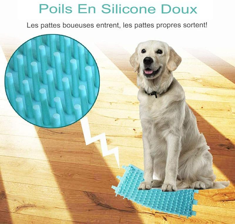 lave patte pour chien - La solution facile pour des pattes propres