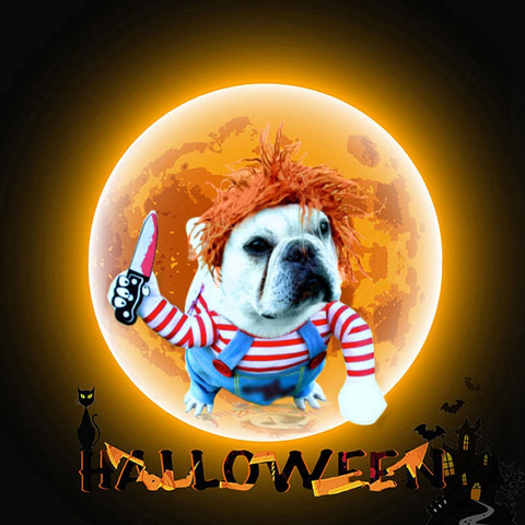 Costumes d'halloween pour chiens - Les Canins Branchés