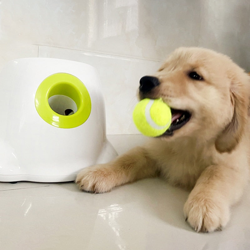 Lanceur de balles de tennis automatique pour animaux de compagnie - Les Canins Branchés