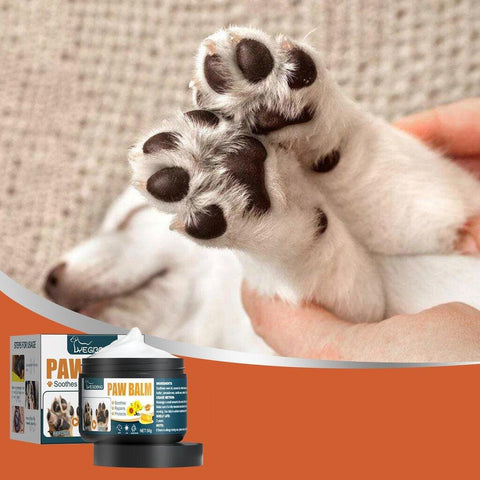 Crème de soin des pattes pour chats et chiens - Les Canins Branchés