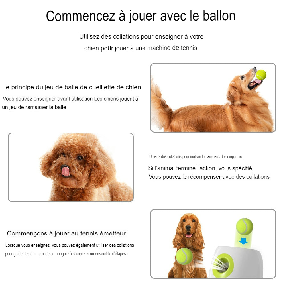Lanceur de balle automatique interactif pour chiens, machine à lancer de  balles de tennis pour chiens