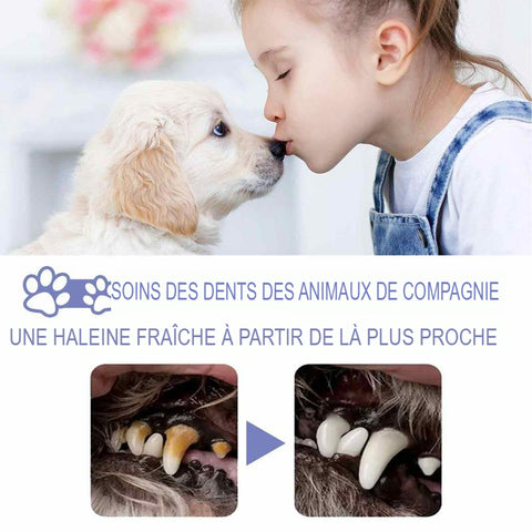 Spray nettoyant buccal pour animaux de compagnie - Les Canins Branchés
