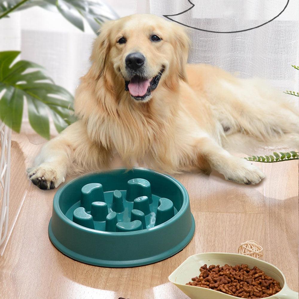 bol de nourriture pour animaux de compagnie à alimentation lente - bol anti-étouffement - Les Canins Branchés