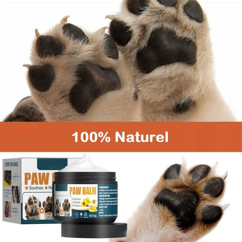Crème de soin des pattes pour chats et chiens - Les Canins Branchés