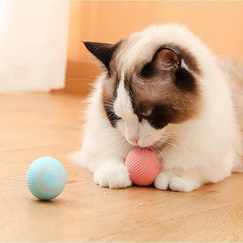 Acheter Balle intelligente pour chat, jouets électriques, balle