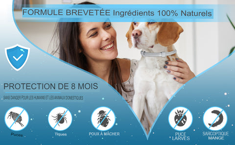 Collier anti-puces et tiques pour chien - Les Canins Branchés