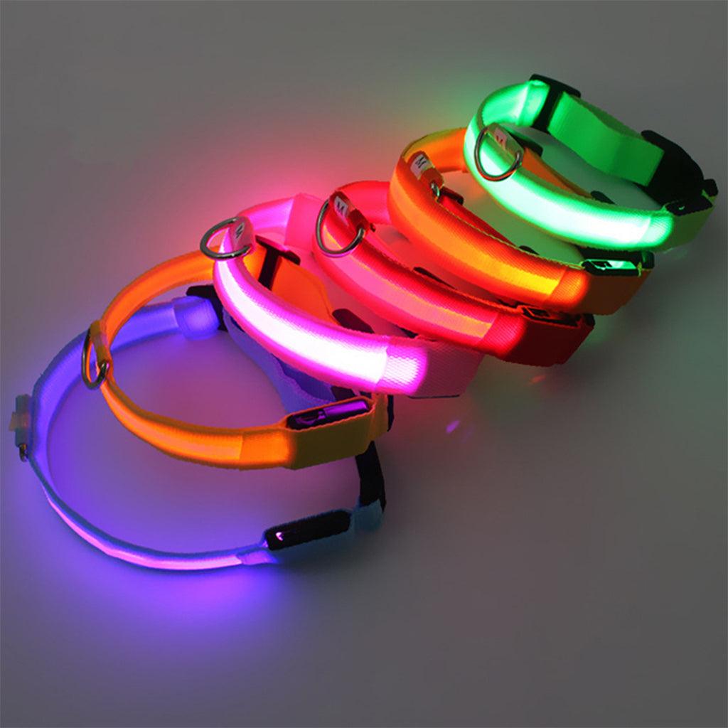 Oladwolf Collier lumineux pour chien rechargeable, LED - Étanche - Longueur  réglable - USB - Collier de sécurité pour animaux de compagnie - 3 modes