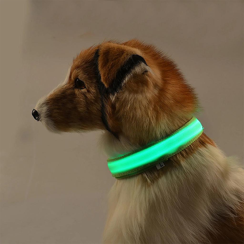 Collier pour chien LED Maxi Safe - Largeur 15 mm