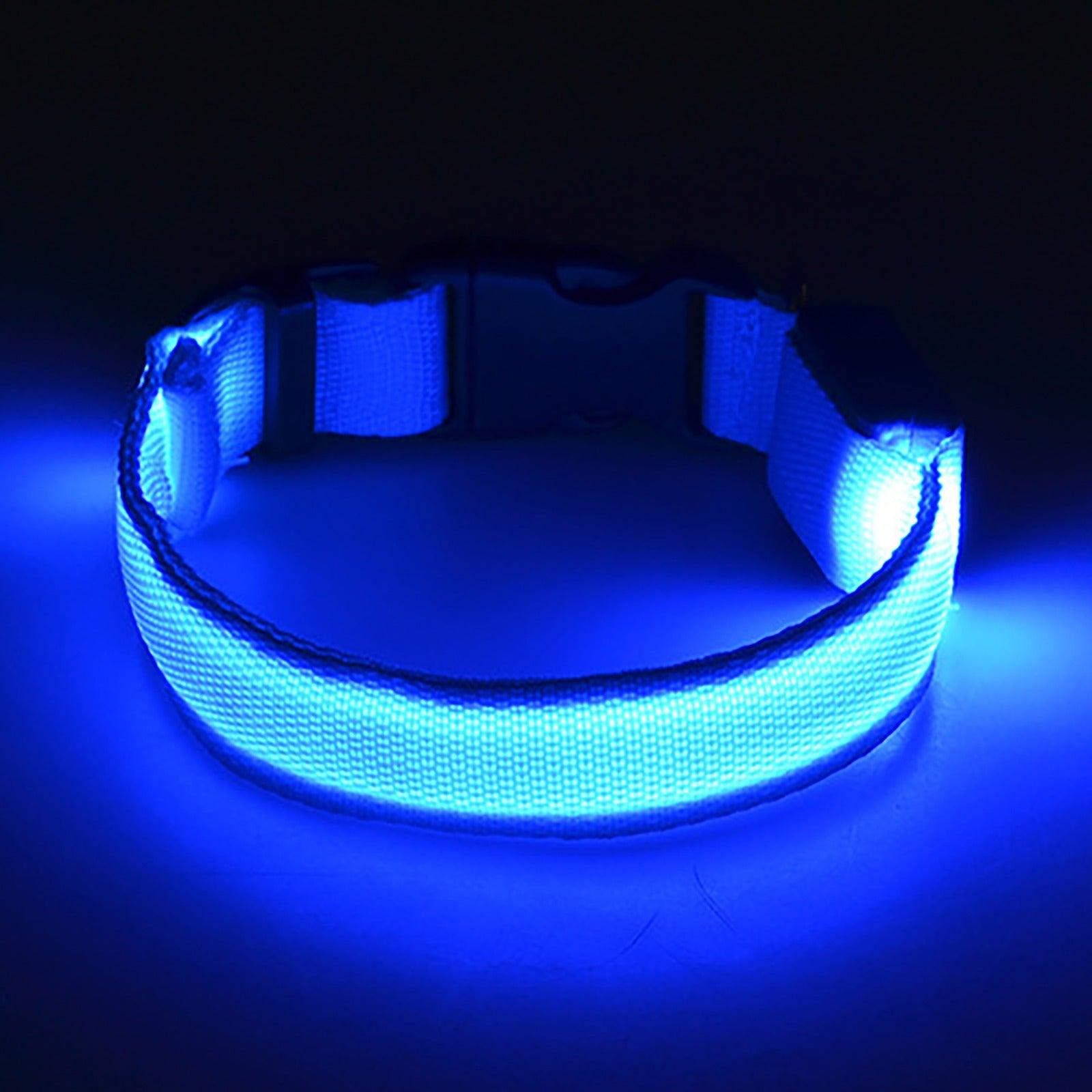 Collier lumineux pour chiens Silicon Dog Light Up For Night Time
